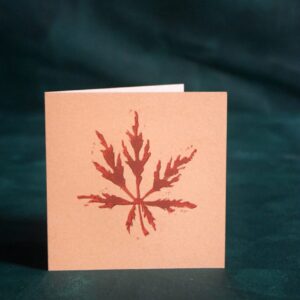 Tamukeyama Acer leaf